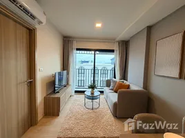1 Bedroom Condo for rent at The Base Cherngtalay, Choeng Thale, Thalang