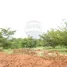  Land for sale in Bangalore, Karnataka, n.a. ( 2050), Bangalore