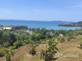  Grundstück zu verkaufen in Phuket Town, Phuket, Wichit