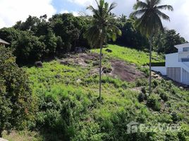  Land for sale in Koh Samui, Ang Thong, Koh Samui