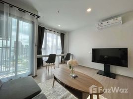 คอนโด 1 ห้องนอน ให้เช่า ในโครงการ แอสปาย พระราม 4, พระโขนง