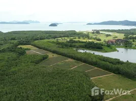  Grundstück zu verkaufen in Thalang, Phuket, Thep Krasattri, Thalang