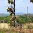  Land for sale in Nam Phrae, Hang Dong, Nam Phrae