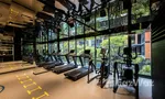 Gym commun at Quintara Treehaus Sukhumvit 42