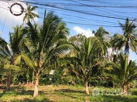 N/A Terrain a vendre à Maret, Koh Samui 1 Rai Land for Sale in Lamai Area