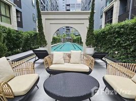 คอนโด 1 ห้องนอน ให้เช่า ในโครงการ ซีรอคโค บางนา 36, บางนา, บางนา, กรุงเทพมหานคร, ไทย