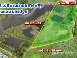 ขายที่ดิน ใน รางพิกุล, นครปฐม, รางพิกุล, กำแพงแสน, นครปฐม, ไทย