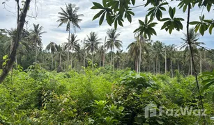 N/A Land for sale in Bo Phut, Surat Thani 