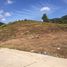  Land for sale in Kathu, Phuket, Kathu, Kathu