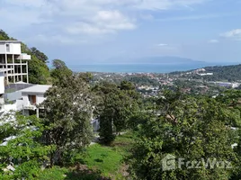 ขายที่ดิน ใน บ่อผุด, สุราษฎร์ธานี, บ่อผุด, เกาะสมุย, สุราษฎร์ธานี