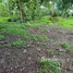  Land for sale in Pa Khlok, Phuket, Pa Khlok