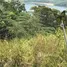  Terreno (Parcela) en venta en Roatan, Islas De La Bahia, Roatan