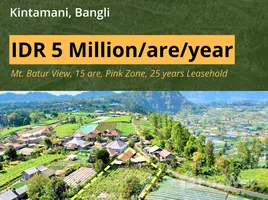  Land for sale in Bangli, Bali, Kintamani, Bangli