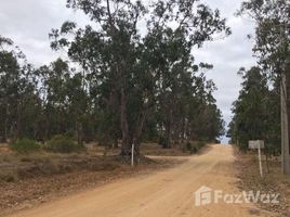  Terreno (Parcela) en venta en Algarrobo, Casa Blanca