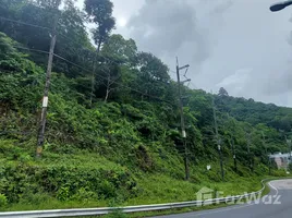  Grundstück zu verkaufen in Kathu, Phuket, Kamala