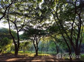 4 Bedroom House for sale in Phai Thon, Phrae, Phai Thon, Rong Kwang, Phrae, Thailand