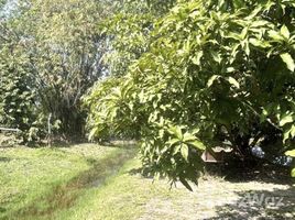 ขายที่ดิน ใน ท่าสาย, เชียงราย, ท่าสาย, เมืองเชียงราย, เชียงราย