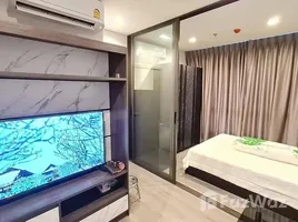 คอนโด 1 ห้องนอน ให้เช่า ในโครงการ เดอะ โพลิแทน อควา, บางกระสอ, เมืองนนทบุรี