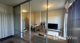 ยูนิตมือสองและให้เช่า