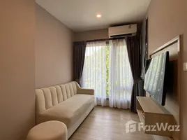 1 Bedroom Condo for rent at Phyll Phuket by Central Pattana, Wichit, Phuket Town, Phuket, Thailand