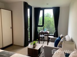 1 Bedroom Condo for rent at THE BASE Central Phuket, Wichit, Phuket Town