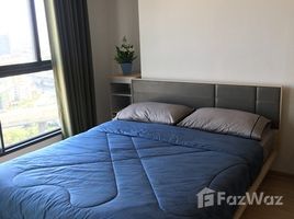 Studio Condo for rent at Ideo O2, Bang Na, Bang Na