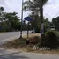  Land for sale in Sam Roi Yot, Hua Hin, Sam Roi Yot