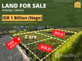  Terreno (Parcela) en venta en Bali, Kediri, Tabanan, Bali