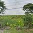  Land for sale in Bang Bua Thong, Nonthaburi, Lahan, Bang Bua Thong