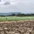  Land for sale in Wang Sai, Nakhon Ratchasima, Wang Sai, Pak Chong