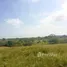  Grundstück zu verkaufen in San Bernardo Del Viento, Cordoba, San Bernardo Del Viento, Cordoba, Kolumbien