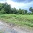  Земельный участок for sale in Pak Nakhon, Nakhon Si Thammarat, Pak Nakhon, Mueang Nakhon Si Thammarat, Nakhon Si Thammarat