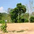  Terrain for sale in Trat, Ko Chang, Ko Chang, Trat