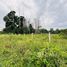  Land for sale in Costa Rica, Pococi, Limon, Costa Rica