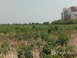  Земельный участок for sale in Таиланд, Ban Chang, Ban Chang, Районг, Таиланд