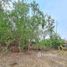  Land for sale in Khlong Luang, Pathum Thani, Khlong Si, Khlong Luang