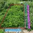  Land for sale in Taphong, Rayong, Taphong, Mueang Rayong, Rayong, Thailand
