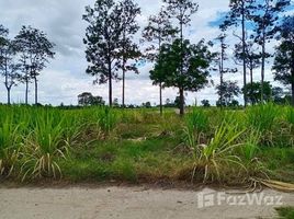  Land for sale in Suphan Buri, Bo Kru, Doem Bang Nang Buat, Suphan Buri