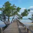 45 Bedroom Hotel for sale in Ko Mak, Trat, Ko Mak, Ko Kut, Trat, Thailand