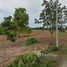  Land for sale in Nakhon Ratchasima, Banlang, Non Thai, Nakhon Ratchasima