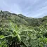 Terrain à vendre à DESAMPARADOS SAN JOSE, Desamparados