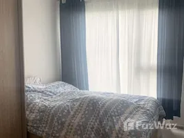 คอนโด 1 ห้องนอน ให้เช่า ในโครงการ เดอะ ไพรเวซี่ เอส 101, บางจาก