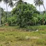 ขายที่ดิน ใน ขนอม, นครศรีธรรมราช, ขนอม, ขนอม, นครศรีธรรมราช