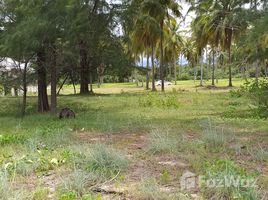  Land for sale in Nakhon Si Thammarat, Klai, Tha Sala, Nakhon Si Thammarat
