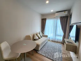 1 Bedroom Apartment for rent at Phyll Phuket by Central Pattana, Wichit