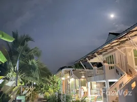 ขายที่ดิน ใน ป่าไผ่, เชียงใหม่, ป่าไผ่