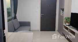 ยูนิตมือสองและให้เช่า