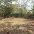  Land for sale in Guanacaste, Bagaces, Guanacaste