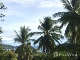  Grundstück zu verkaufen in Ko Pha-Ngan, Surat Thani, Ko Tao, Ko Pha-Ngan