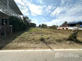 ขายที่ดิน ใน ป่าสัก, ลำพูน, ป่าสัก, เมืองลำพูน